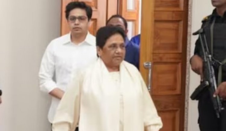 BSP में आकाश आनंद की वापसी, मायावती ने चीफ नेशनल कोऑर्डिनेट की दी बड़ी जिम्मेदारी