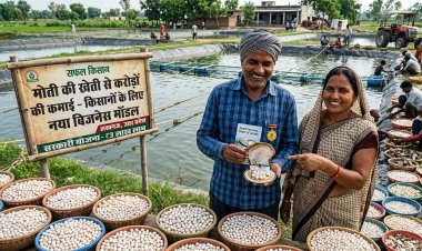 मोती की खेती से करोड़ों की कमाई: किसानों के लिए बना नया बिजनेस मॉडल