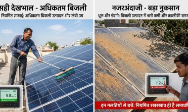सौर ऊर्जा प्रणाली की सही देखभाल से बढ़ेगा बिजली उत्पादन, इन गलतियों से हो सकता है बड़ा नुकसान