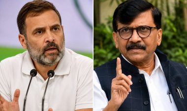 राहुल गांधी के बयान पर संजय राउत का पलटवार, बोले- ऐसी भाषा क्यों इस्तेमाल हो रही इस पर सोचे बीजेपी