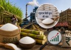 लागत से नीचे बिक रही चीनी, मिलों ने सरकार से मांगा उचित मूल्य