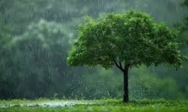 11 साल में सबसे कमजोर मॉनसून का संकेत