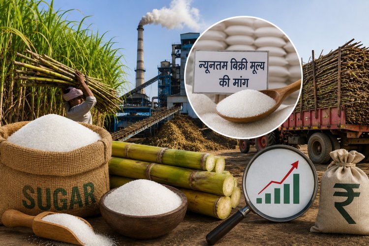 लागत से नीचे बिक रही चीनी, मिलों ने सरकार से मांगा उचित मूल्य